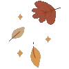 🍂