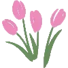 🌷