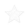 🌟