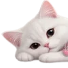 🐈‍⬛