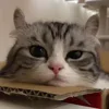 😌