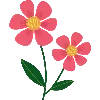 🌺