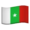 🇸🇳