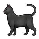 🐈‍⬛