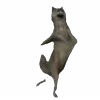 🕺