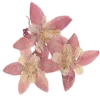 🌸