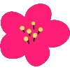 🌺