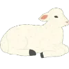 🐑