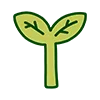 🌱