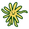 🌼
