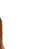 🎞️