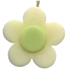 🌼