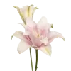 🌸
