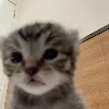 😯