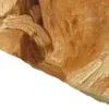 🎞️