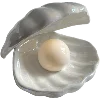 🐚