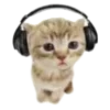 🎧