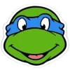 🐢