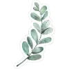 🌿