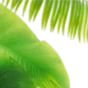 🍹