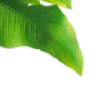 🍹