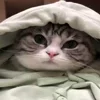 ☺️