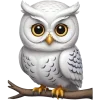 🦉