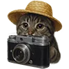 📷