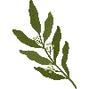 🌾