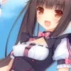 🐱