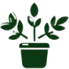 🌱
