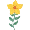 🌻