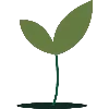 🌱