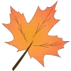 🍁