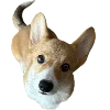 🐶