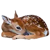 🦌