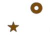 🌟
