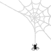 🕷️