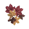 🍁