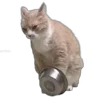 🥣