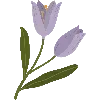 🌷