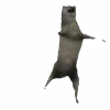 🕺