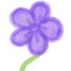 🌺