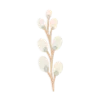 🕊️