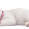 🐈‍⬛
