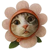 🌸