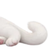 🐈‍⬛