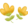 🌻