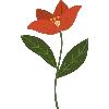 💐