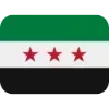 🇸🇾